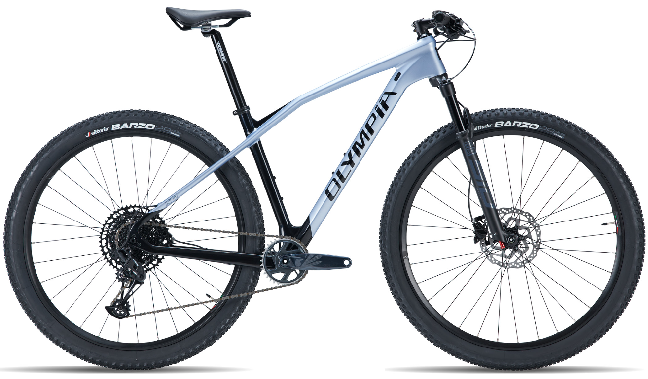 Olympia Iron (voormalige verhuur-MTB)