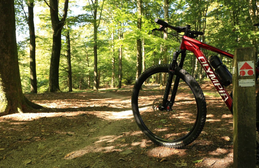 Mountainbike XL huren van 09:00 tot 16:30