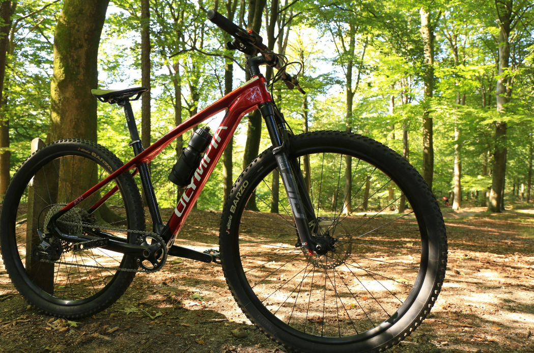 Mountainbike XL huren van 09:00 tot 16:30