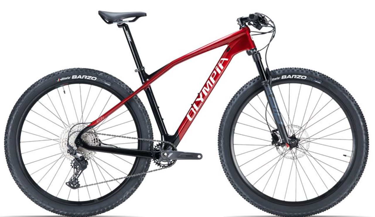 Olympia Iron (voormalige verhuur-MTB)